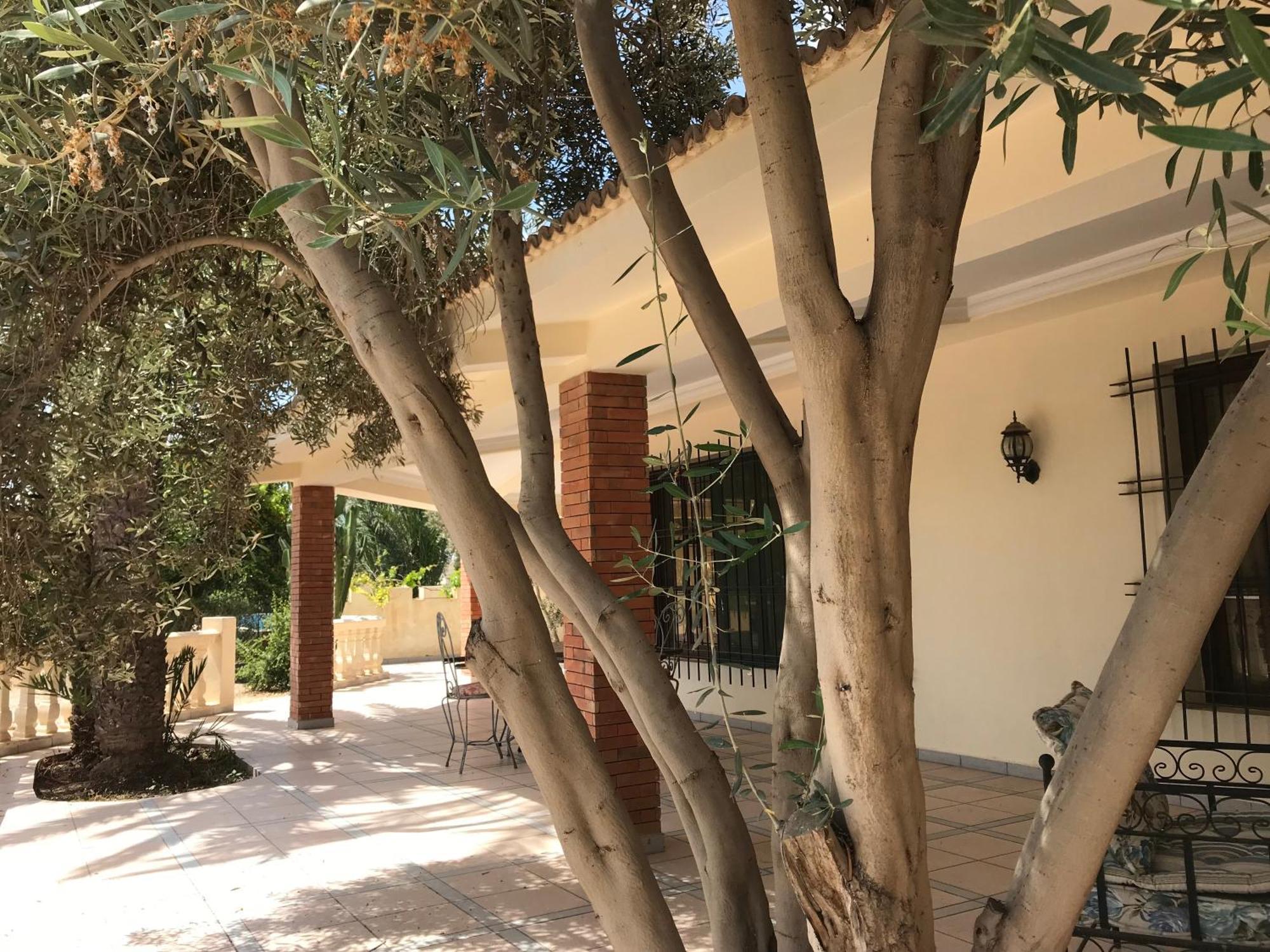 Tiguimi Vacances - Oasis Villas, Cadre Naturel Et Vue Montagne Agadir Exterior foto